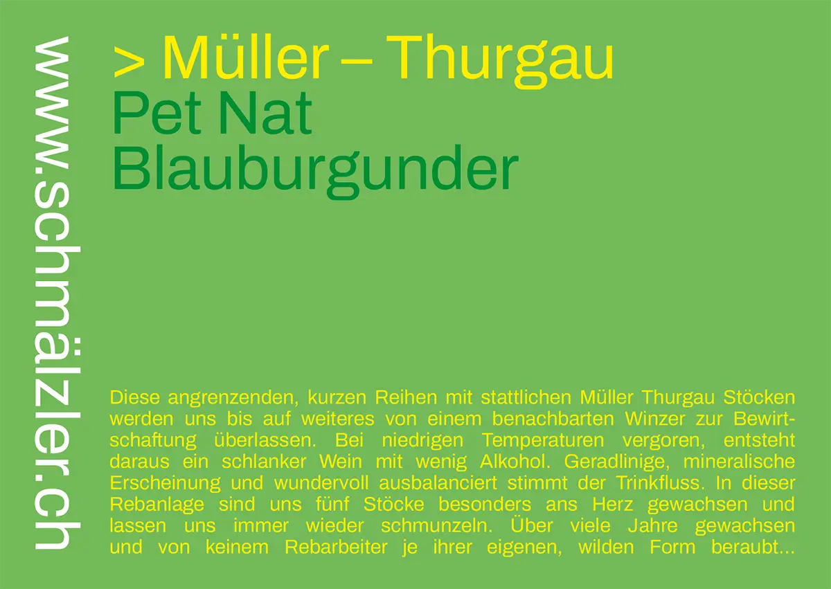 Flyerdesign für einen Müller-Thurgau Wein in Grün und Gelb